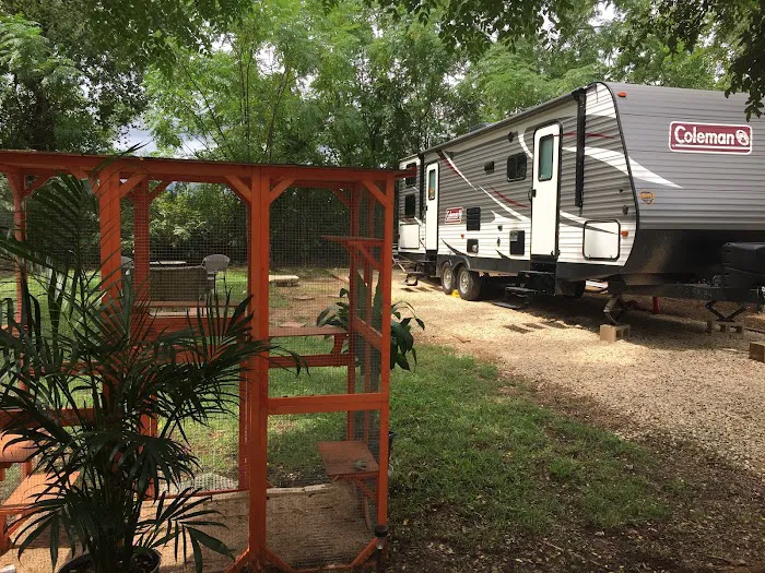 Las Palmas Rv Park Picture 2