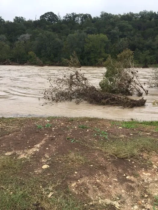 Las Palmas Rv Park Picture 1