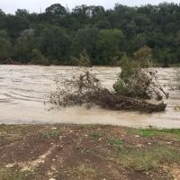 Las Palmas Rv Park ico