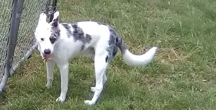 Las Palmas Rv Park Picture 9