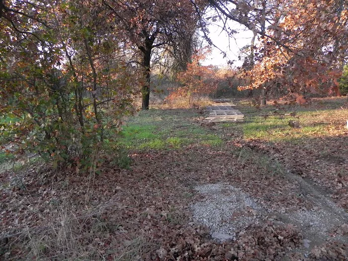 Alvord Oaks RV Park Picture 6