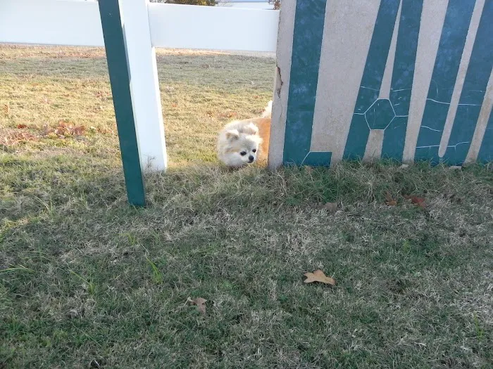 Alvord Oaks RV Park Picture 7