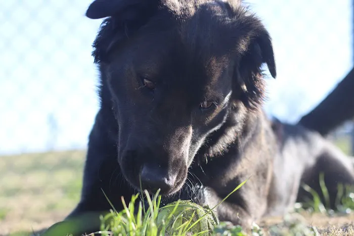 Over The Hill RV Park Picture 7