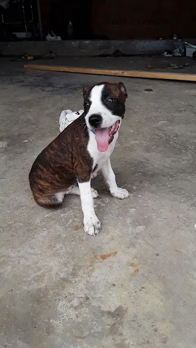 Paradise RV Park ! ! ! Paradise TX Picture 3