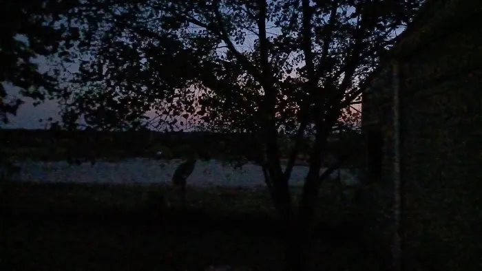 Paradise RV Park ! ! ! Paradise TX Picture 4