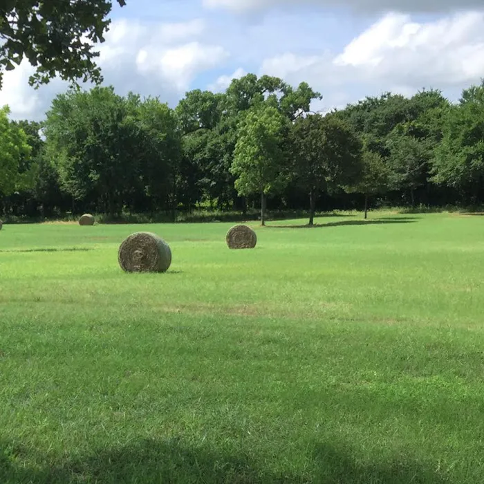 Back Home RV Park Picture 2