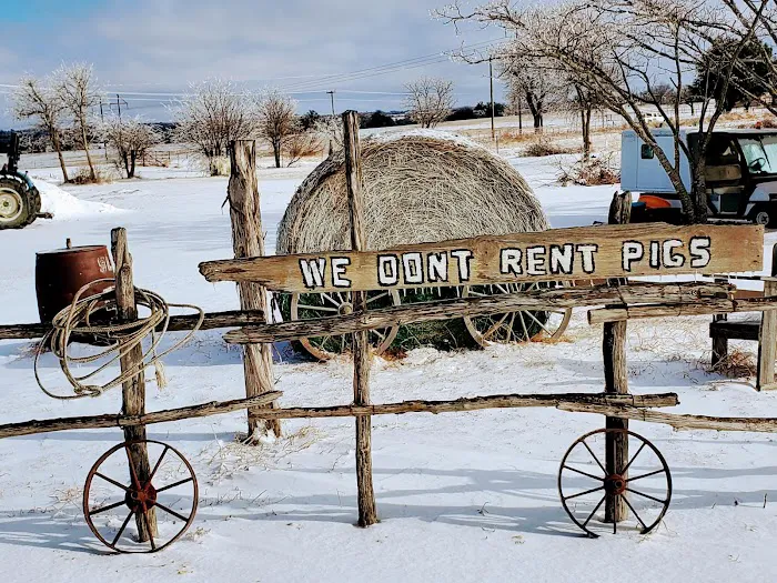 Lonesome Dove RV Park and Camp ( Stephenville, Tx) Picture 8