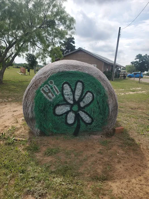 Lonesome Dove RV Park and Camp ( Stephenville, Tx) Picture 7