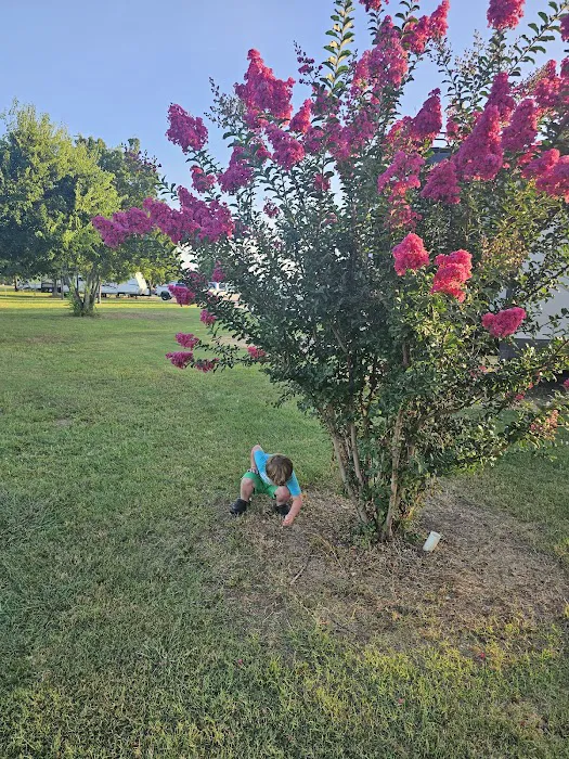 Lonesome Dove RV Park and Camp ( Stephenville, Tx) Picture 10