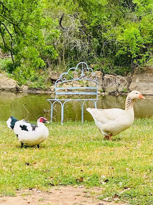 Rolling Creek RV Park Picture 5