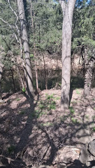 Western Edition RV Community Picture 9