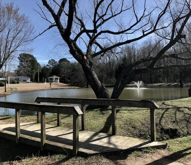 Forest Lake Pointe Picture 6