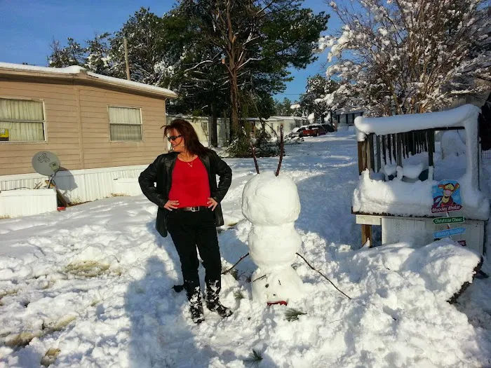 Forest Lake Pointe Picture 7