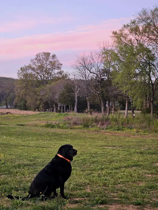 Camp Conway RV Park Picture 6