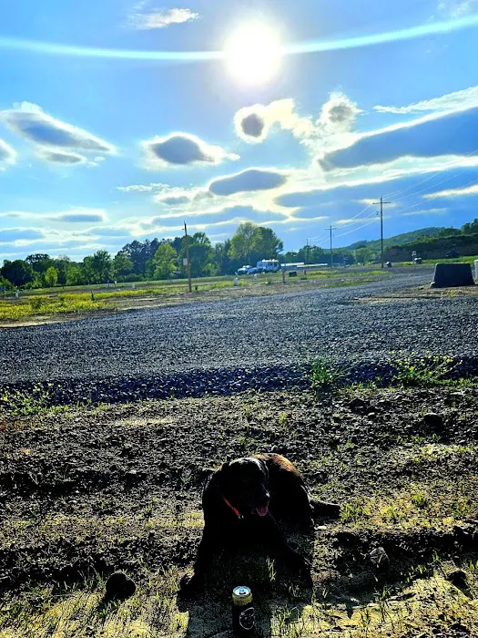 Camp Conway RV Park Picture 7