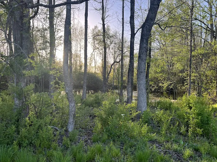 Sweet Escape RV Resort Picture 4