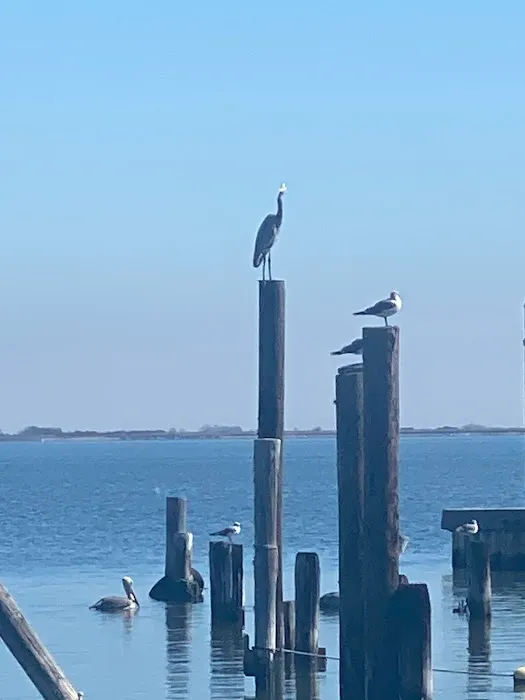 Turtle Creek RV Park Picture 1