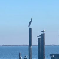 Turtle Creek RV Park ico