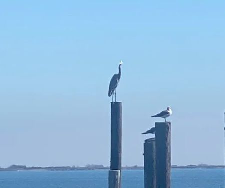 Turtle Creek RV Park