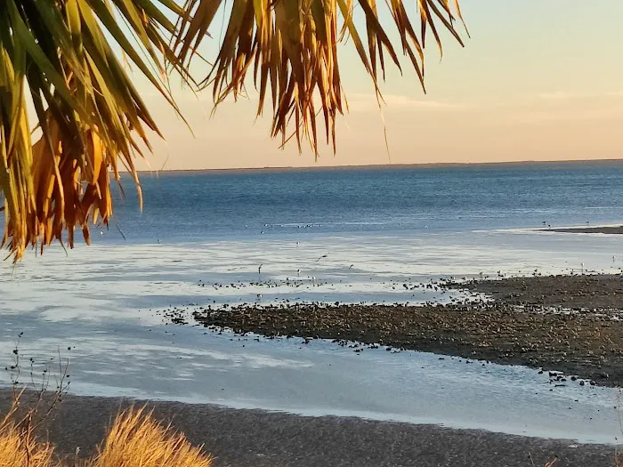 Reel World RV Park Picture 4