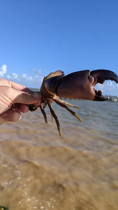 RV on the water Picture 8