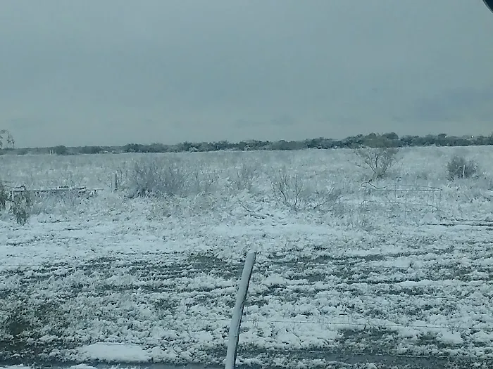 Machacek's Rockin' M RV Park & Campgrounds Picture 8