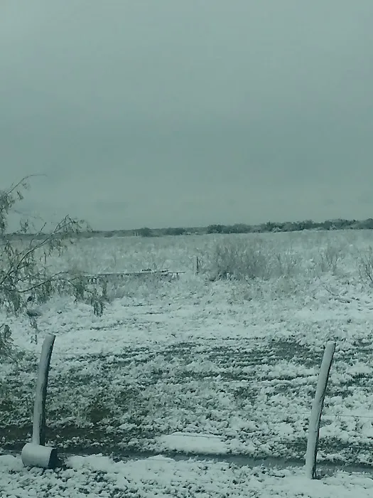 Machacek's Rockin' M RV Park & Campgrounds Picture 7