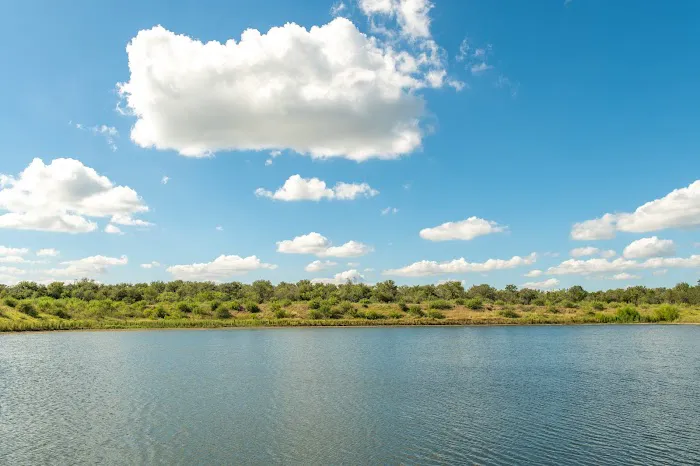 Arroyo Valle RV Resort Picture 7