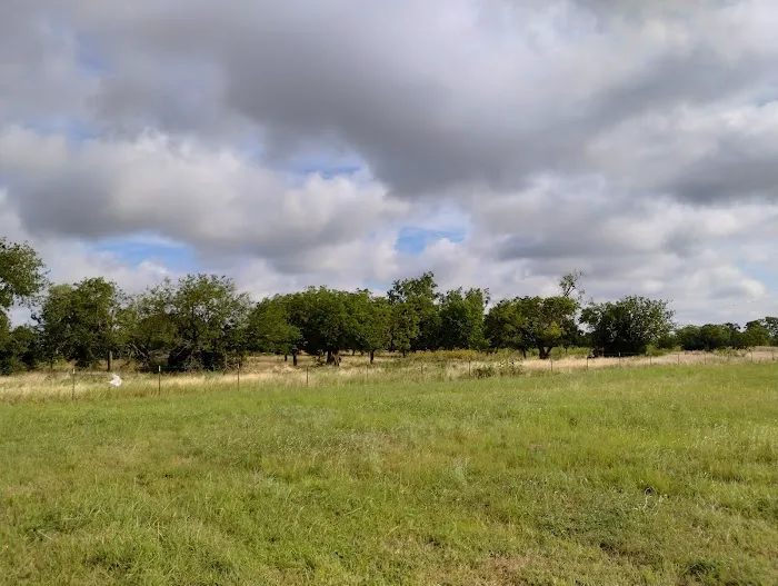 Stork RV Park Picture 4