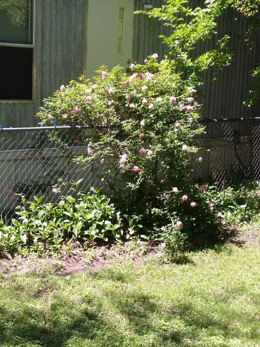 Aero Mobile Home Park Picture 5