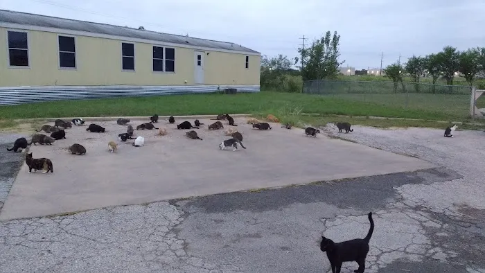 Frontier Valley Picture 8