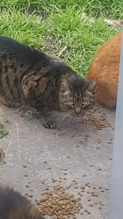 Frontier Valley Picture 9