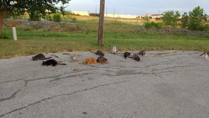 Frontier Valley Picture 7