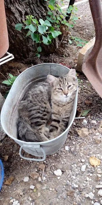 Dusty Oaks RV Park Picture 8