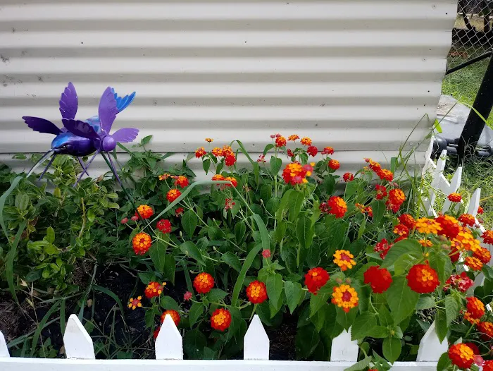 Dusty Oaks RV Park Picture 5