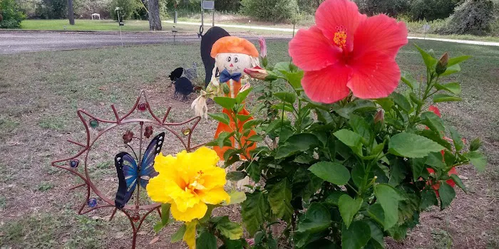 Dusty Oaks RV Park Picture 3