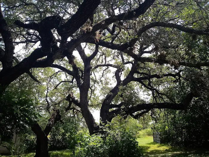 Dusty Oaks RV Park Picture 2