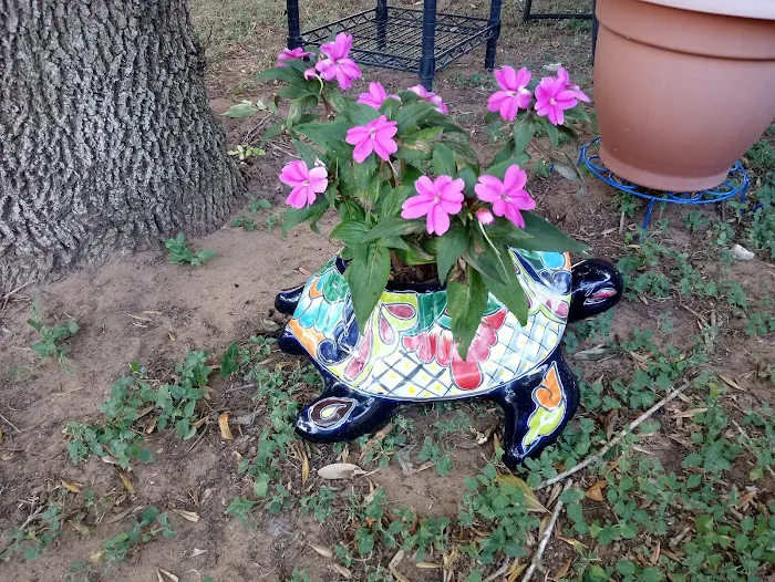 Dusty Oaks RV Park Picture 7