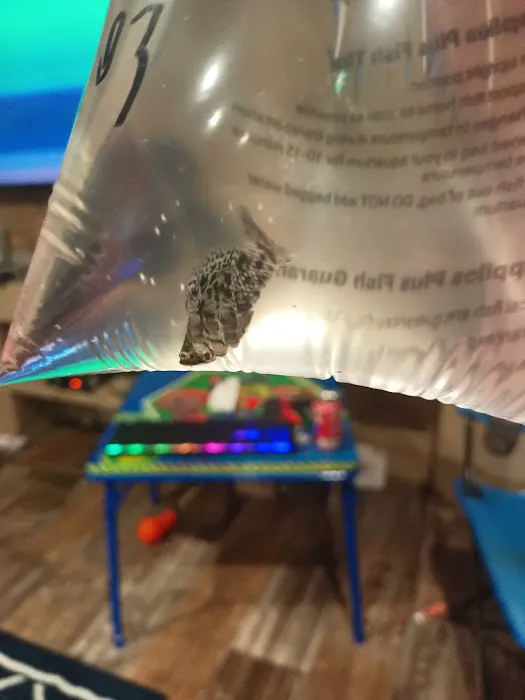 Coyote Bend Mobile Home & RV Prk Picture 9