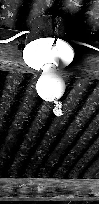 Circle R Ranch RV Resort Picture 9