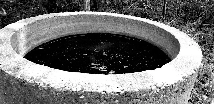 Circle R Ranch RV Resort Picture 8