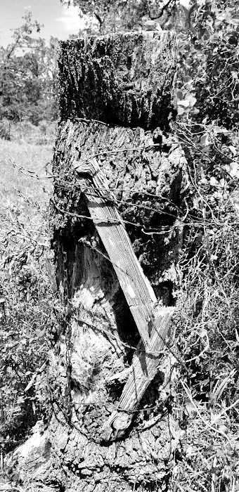 Circle R Ranch RV Resort Picture 7