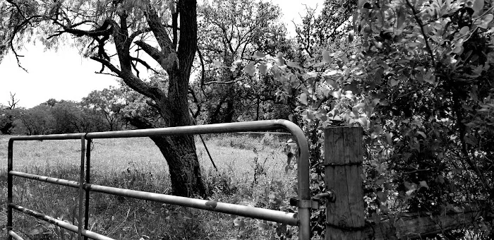 Circle R Ranch RV Resort Picture 4