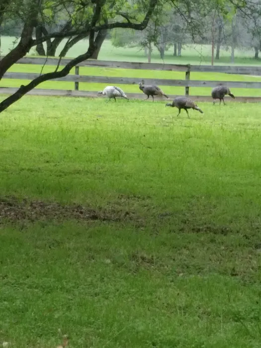 Country View RV Park Picture 2