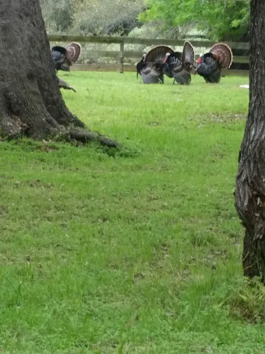 Country View RV Park Picture 1