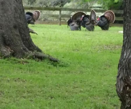 Country View RV Park