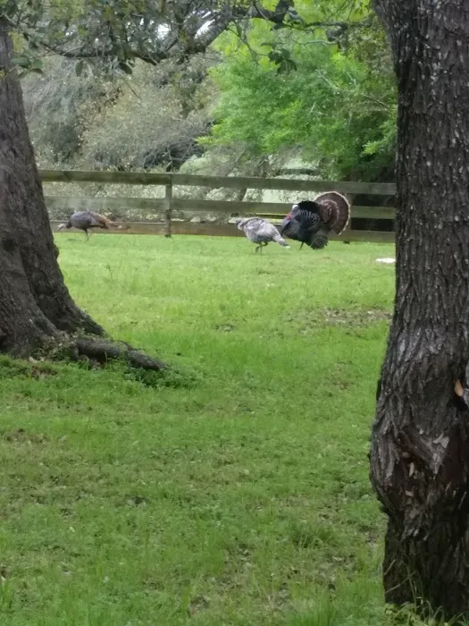 Country View RV Park Picture 3