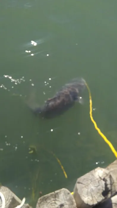 River Shade RV Park Picture 10