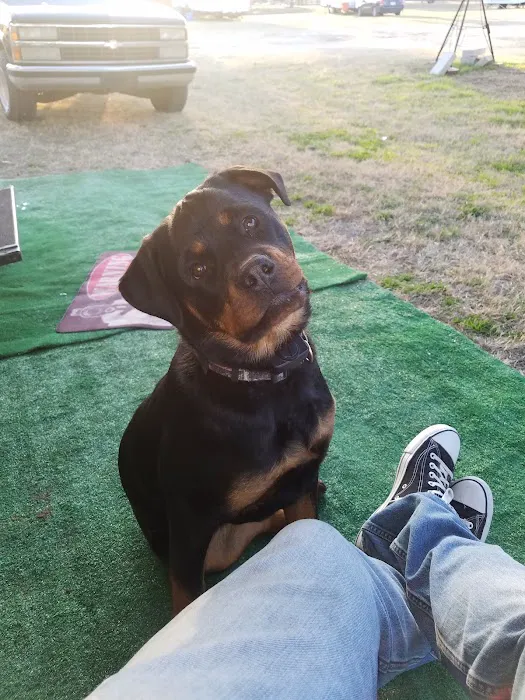 Cappy's Cove RV Park Picture 7