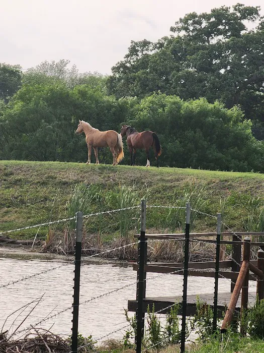 Cappy's Cove RV Park Picture 6